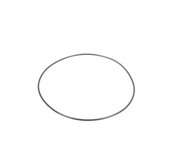 0179976545  Резиновое кольцо (MERCEDES)